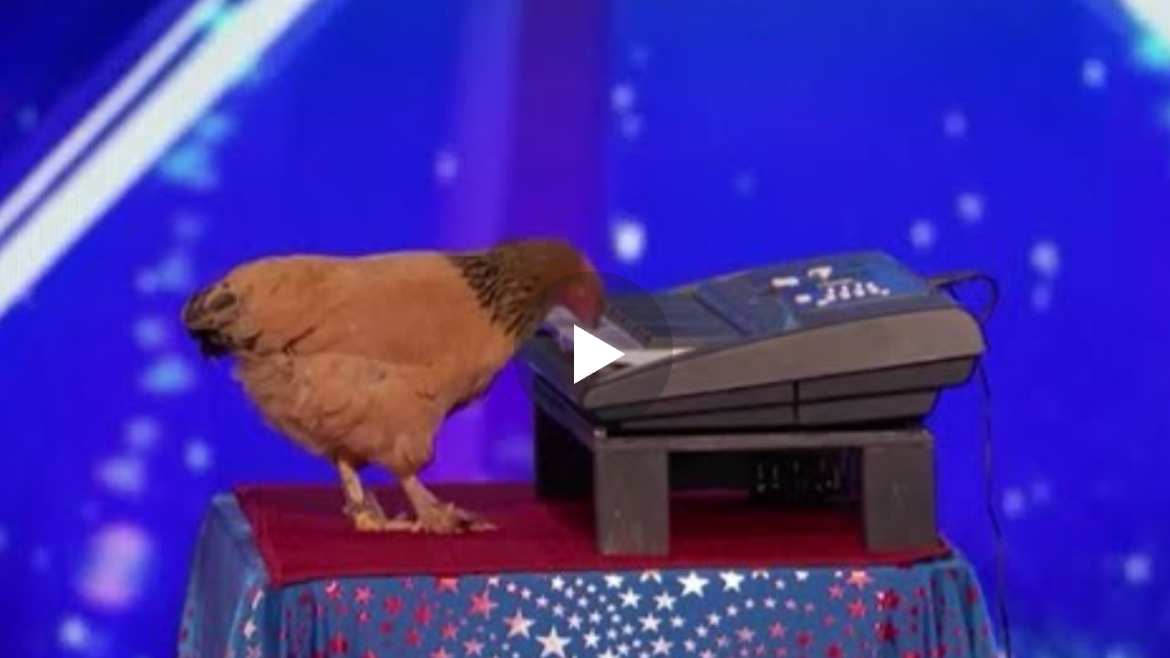 Kjo eshte pula qe mahnite te gjithe audiencen me talentin qe ka, shikoni se cfare bene me piano..(VIDEO)